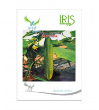 Cucumber / Kakri F1 Iris Govinda 20 grams